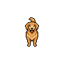 Sato sprite: Lexi the golden retriever