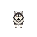 Sato sprite: Paris the dog